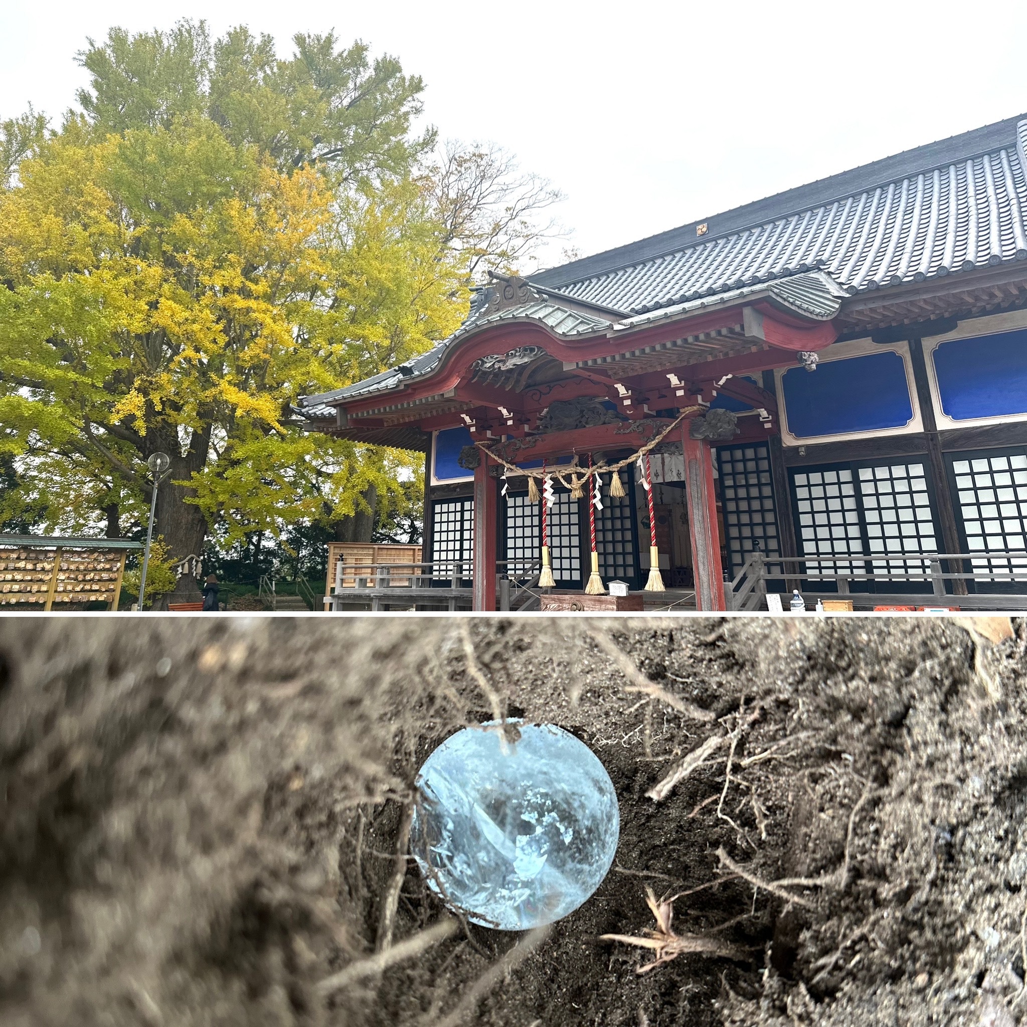 87330515-C635-4F37-8C6F-E600EF7D8FFB