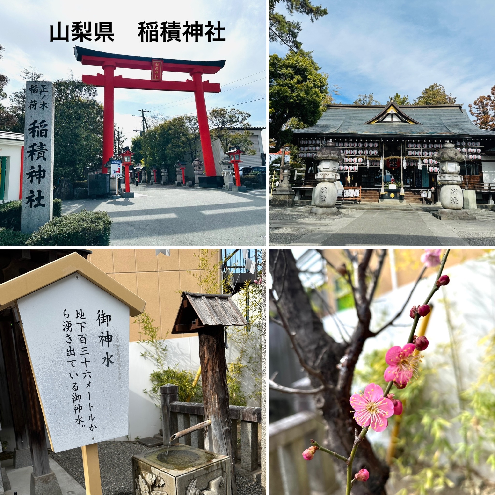 18F1F604-66FB-4C04-AE67-689C95222FB1